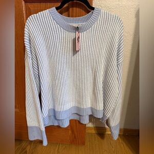 Sincerely Jules Blue and White Striped Sweater